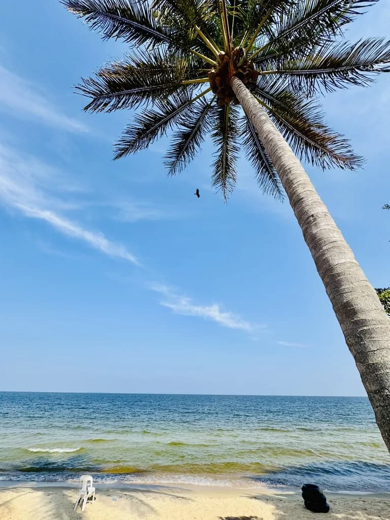 Nature 01 at White Sand Beach